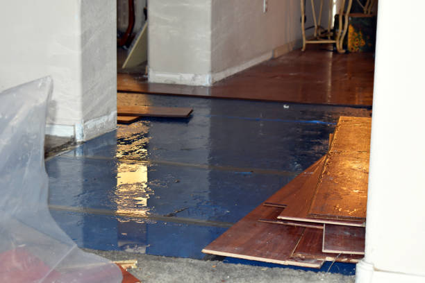 Professional Burst Pipe Cleanup technician working in Cross, SC