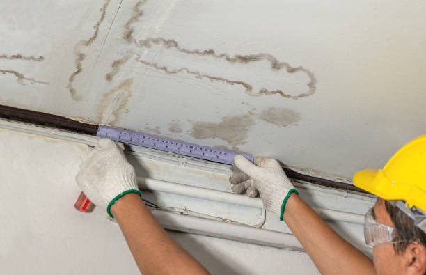 Reliable Burst Pipe Cleanup contractor in Cross, SC by Water Damage Irwin